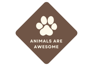 Animals Are Awsome